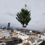 Nous sauvons beaucoup d'arbres, mais là l'abattage de deux thuyas, plantés sur un toit-terrasse à 30 m. de haut, en plein Paris, était malheureusement nécessaire pour prévenir des risques de chute dûe aux vents violents - Abattage à la grue