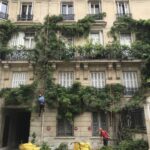 Taille de glycine, lierre, vigne vierge sur façades, immeubles et toits (ici à Matignon)
