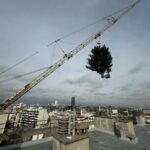 Nous sauvons beaucoup d'arbres, mais là l'abattage de deux thuyas, plantés sur un toit-terrasse à 30 m. de haut, en plein Paris, était malheureusement nécessaire pour prévenir des risques de chute due aux vents violents - Abattage à la grue